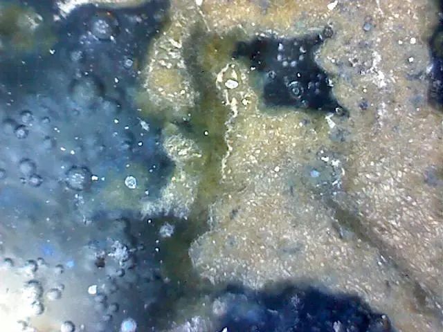 156、瓷器微观典型特征