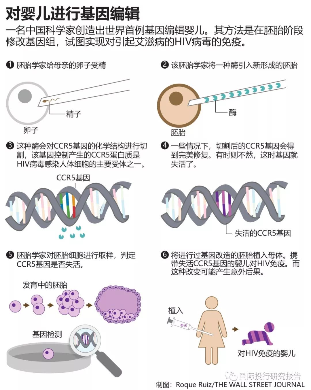 基因编辑婴儿是什么意思