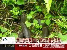 日常生活中哪些肉要少吃？作者：灵芝师姐
