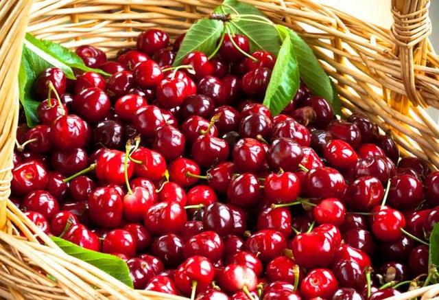 樱桃的营养价值丰富,吃樱桃有6大好处,6种人少吃或者不要吃!