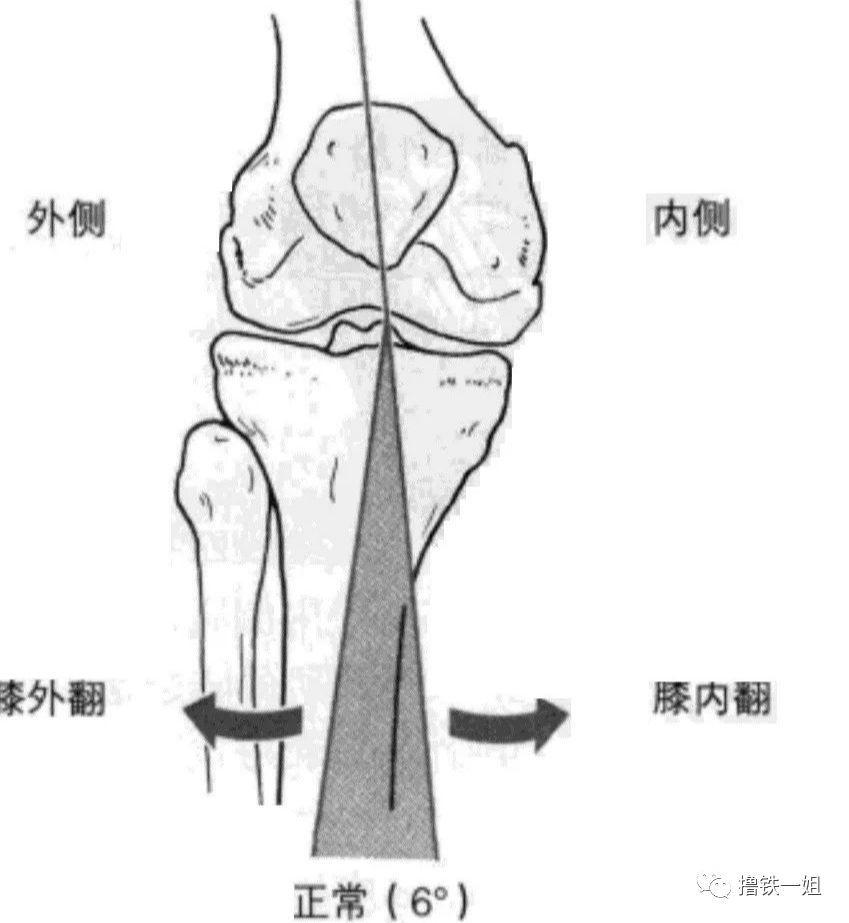 李宇春粉嫩纱裙又美又仙！但却意外暴露真实腿型，太惨烈了