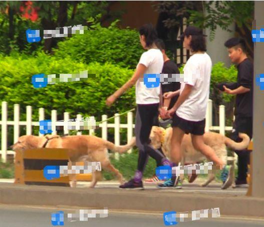 张蓝心新恋情曝光，火速见家长，准备结婚了？