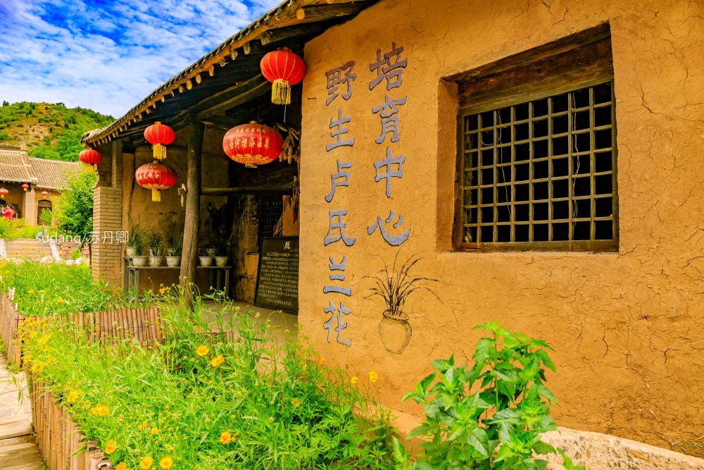 河南最穷村落靠旅游成为网红村，引无数游客，农民乐开了花