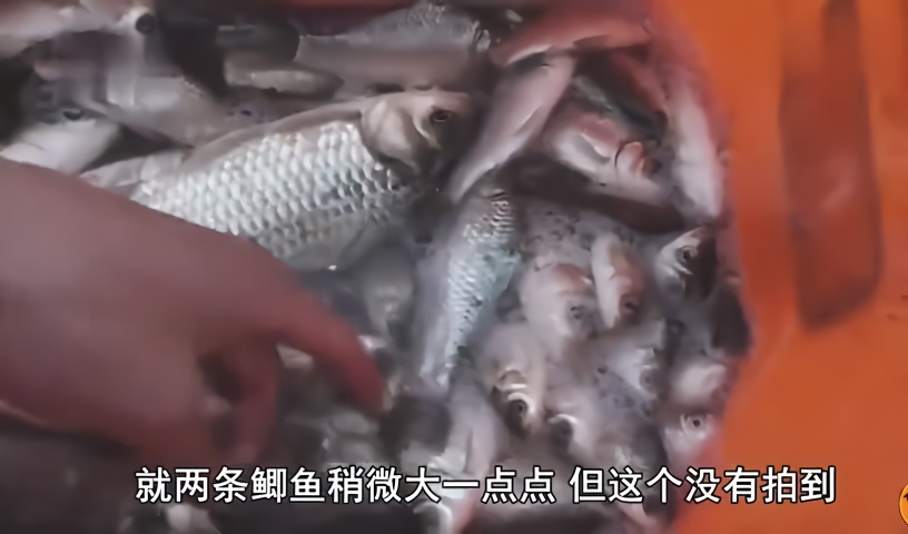 钓鱼:4湖泊跑90公里外的个人钓鱼麻辣条包装det365在线投注_皇冠det365足球网_det365是什么片
