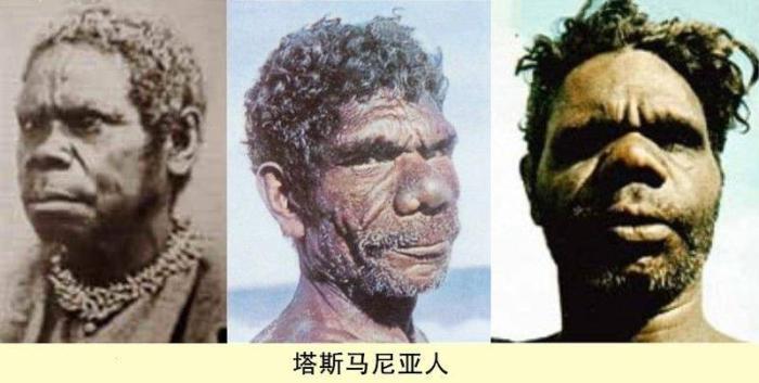 最后一个灭绝的种族在1876年被澳大利亚当局斩草除根