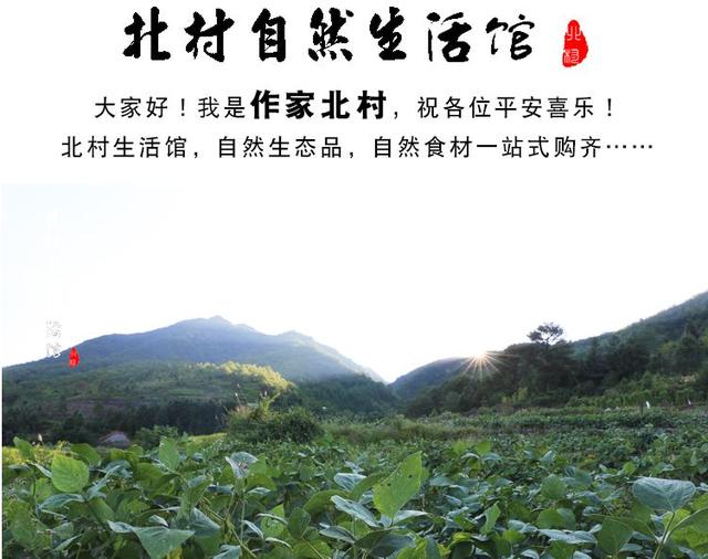 文人的带货江湖