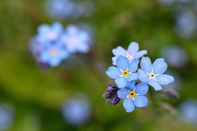 83e4710ab1ea4f15943e0098e45ccf68.jpg 83e4710ab1ea4f15943e0098e45ccf68.jpg