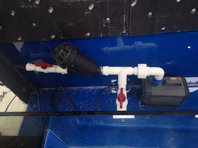 ②安装喷淋系统后在鱼缸里加水并启动喷淋系统查看每个滴箭是否出水