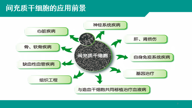 间充质干细胞告诉你,面对这12种疾病可以不再认命__凤凰网