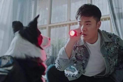 《动物管理局》第一季,有谁看懂了大结局,朱雀涅槃,妖怪狂欢