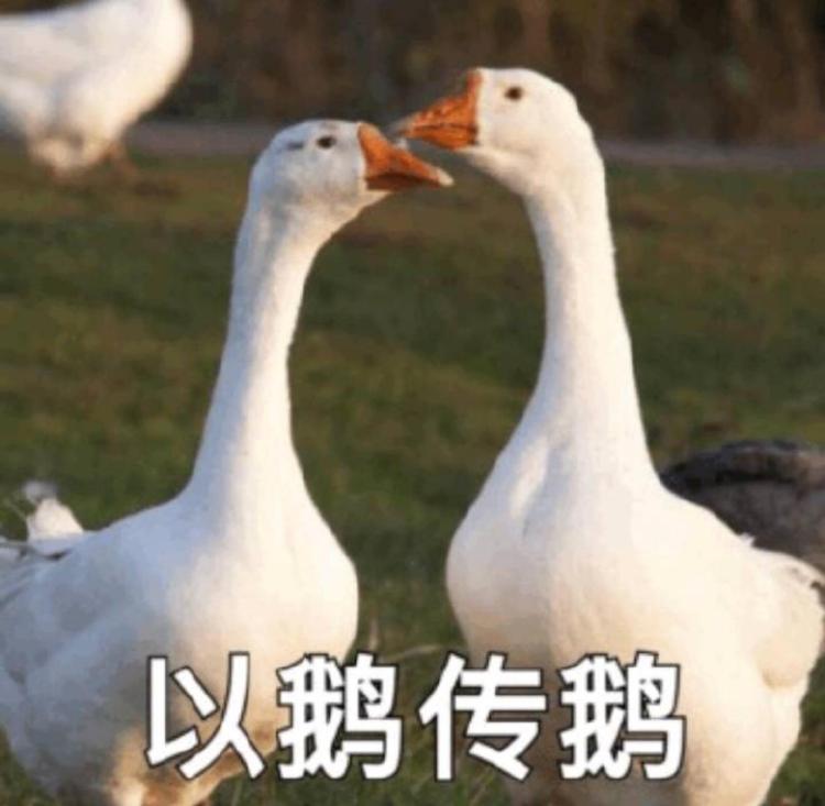 科普：扔垃圾为什么不能嫌麻烦