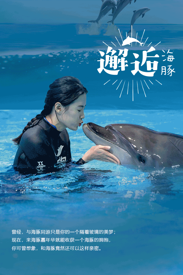 2019海豚音乐节和大海一起听 2019海豚音乐节和大海一起听