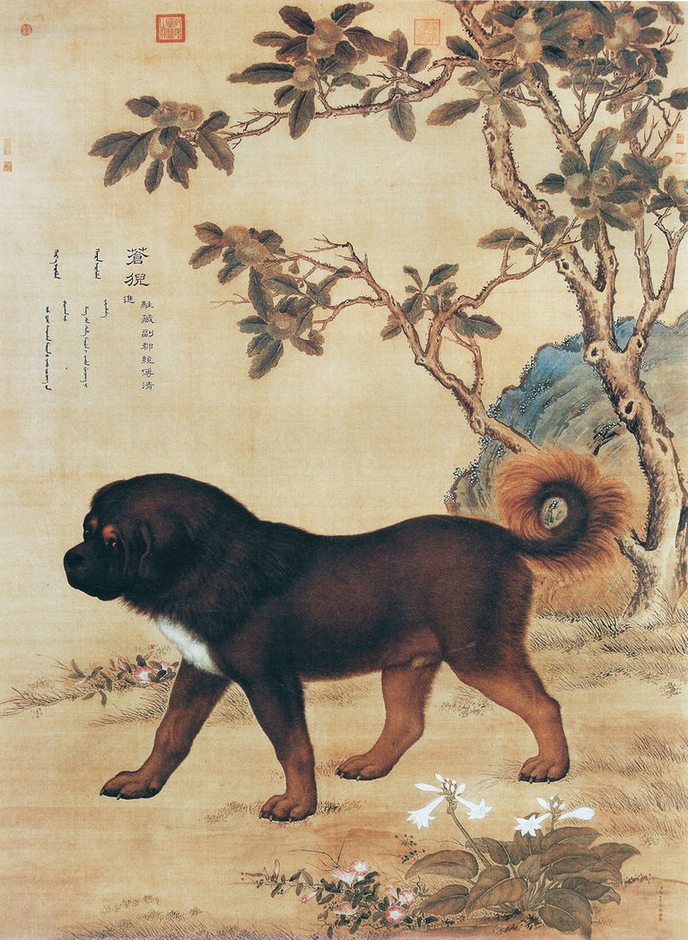 清 郎世宁 苍猊图轴 台北故宫博物院藏