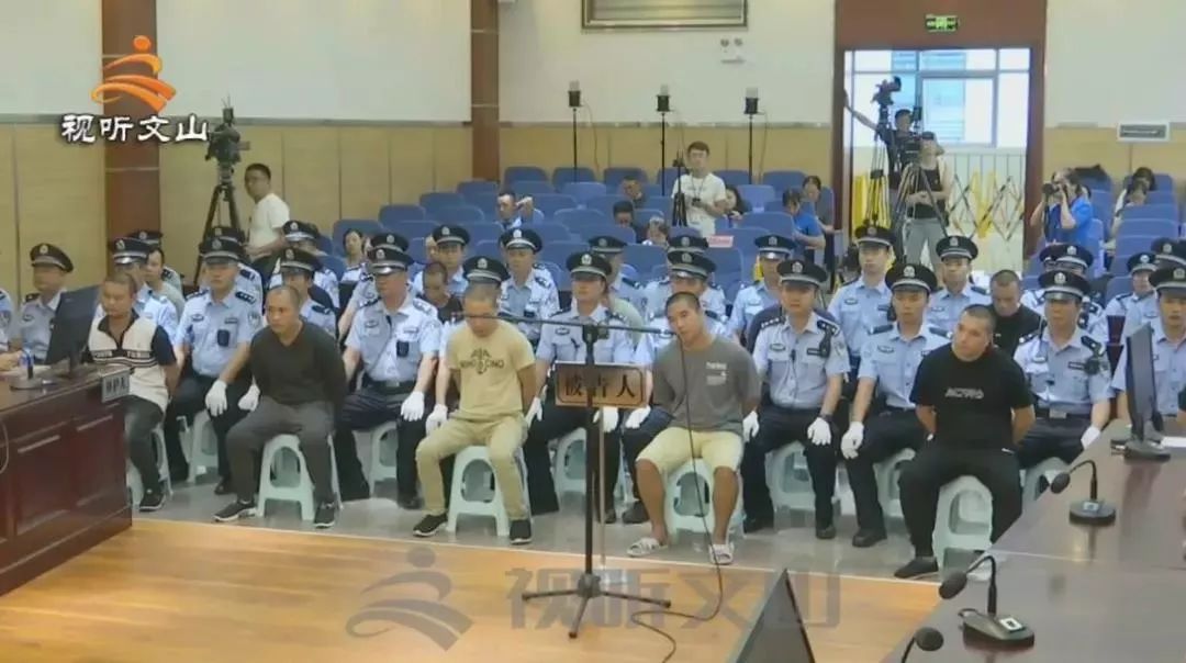 云南一涉黑集团挖山建5条走私通道!背后"保护伞"多达20人