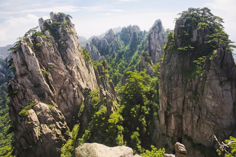 黄山十大名松：黄山的奇松是生长在哪里了?