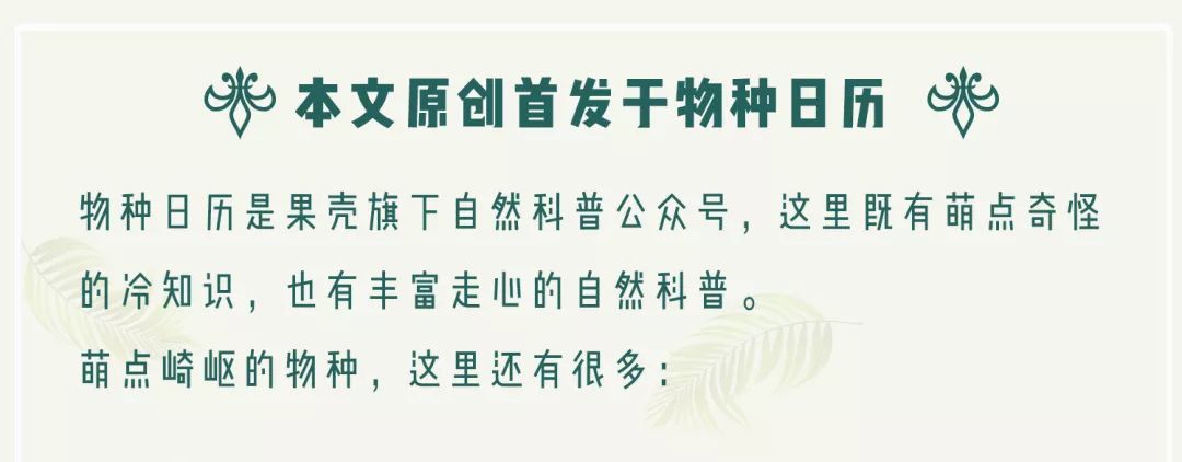 论对地球的贡献,苍蝇比你大