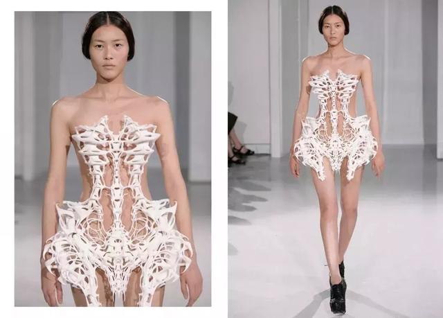 iris van herpen fall 2011 couture,刘雯的这身3d打印礼服模仿了人体