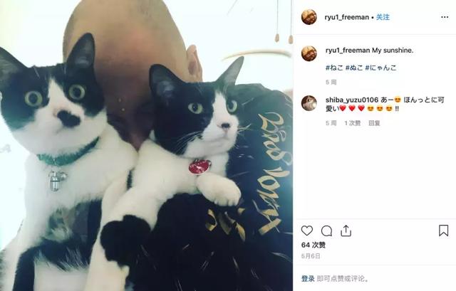 日本黑帮大佬明星路:“外型一定要可怕”