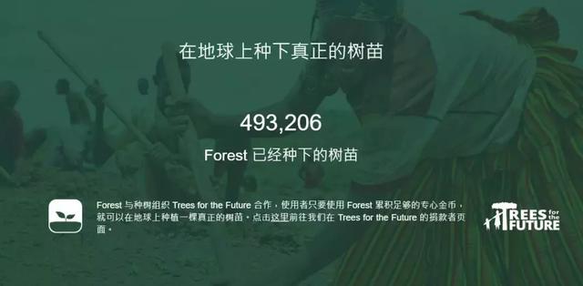 是什么治好了我不治多年的拖延症？