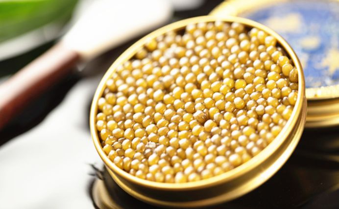 1勺25万的顶级食物!我居然吃到了