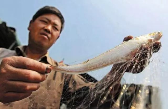 1勺25万的顶级食物!我居然吃到了