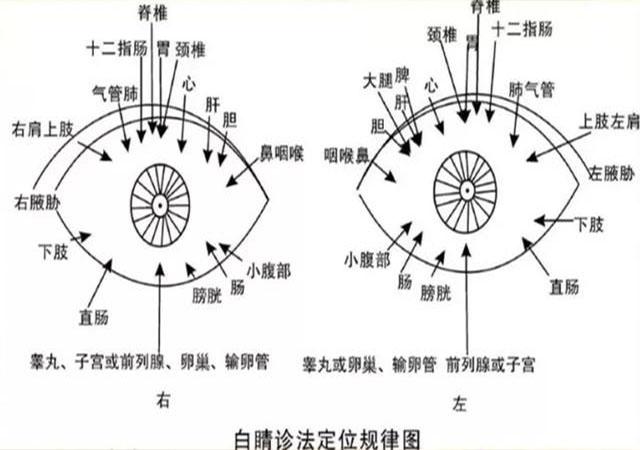 望眼部,辩症状,看一眼你的眼睛就知道有什么病