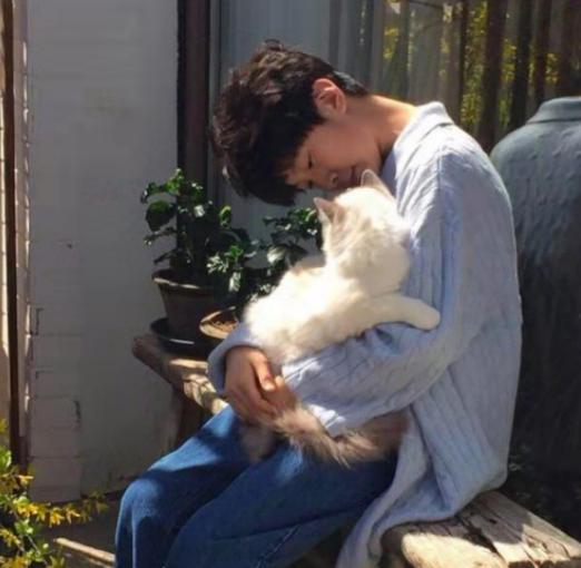 11岁天天抱猫照太温柔，张亮夫妇花一辆轿车钱只为救猫