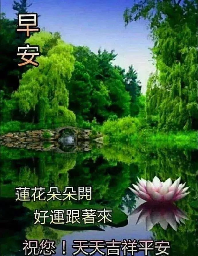 最新版早上好阳光暖心的祝福句子,早晨好美的表情图片