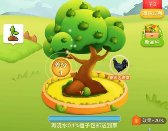 拼多多种水果 6.5万凭空消失？当事人回应 网友直呼想打人
