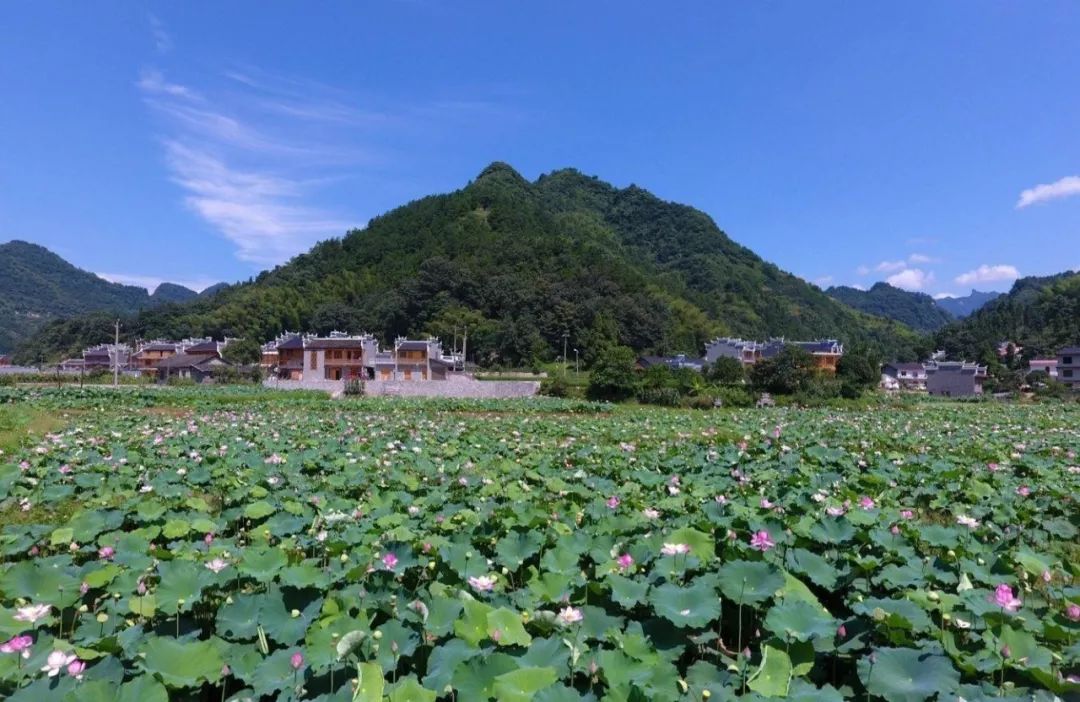 株洲市:仙庾岭