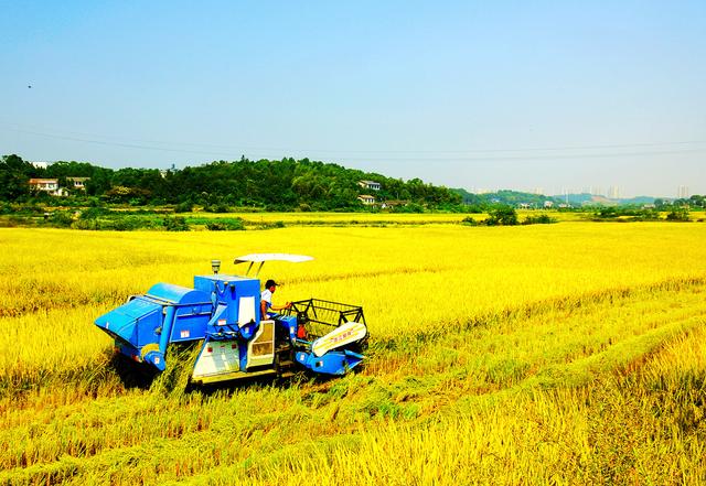 摄影创作善于安排画面的趣味中心,瞬间抓住观者的心