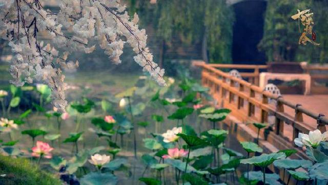 电视剧《陈情令》热播,你知道剧中兰陵、姑苏等地如今在哪里吗?