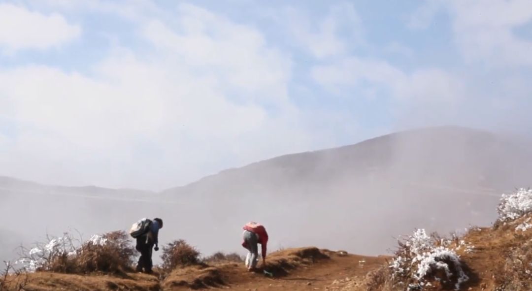 这部纪录片又把人看哭了