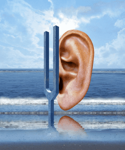 肾开窍于耳, 肾气通于耳