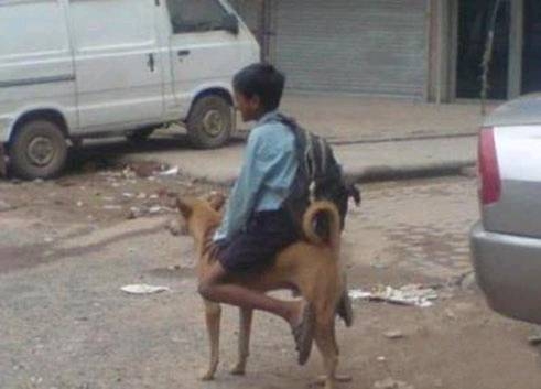 搞笑图片幽默段子笑话:孩子你还挺会玩的啊,把小狗狗