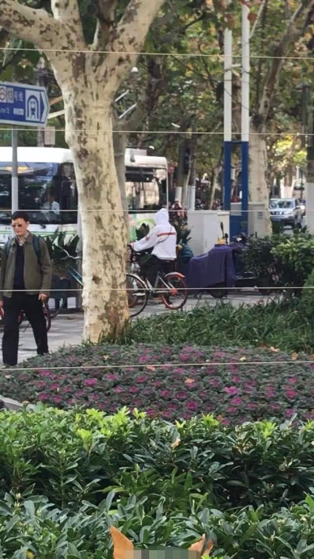 郑爽回归普通生活，带爸爸跟男友约会，江边骑车“翁婿”相处融洽