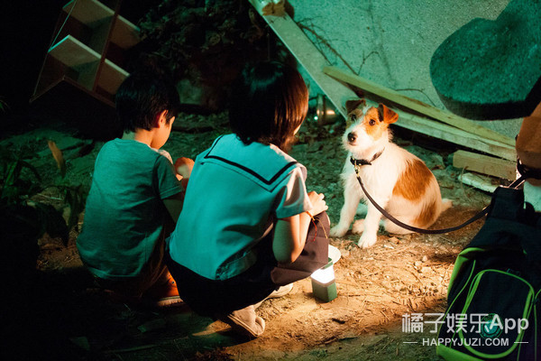 适合冬天窝在被子观看的电影