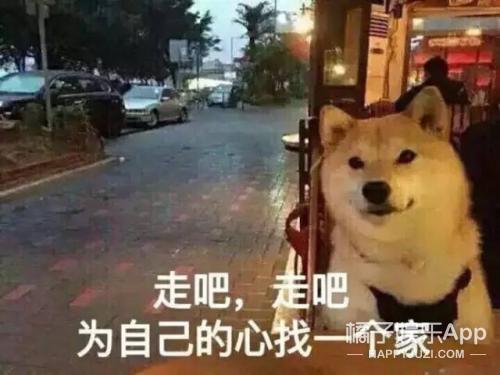 你们这届粉丝真的很难带