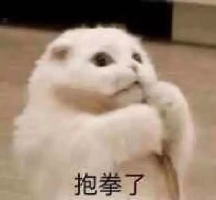 火遍朋友圈的杨霞是谁？