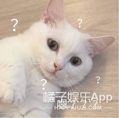 陈志朋这次是直接披了个塑料袋就去走秀了？