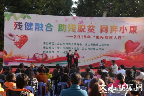 2018年国际残疾人日主题活动举行