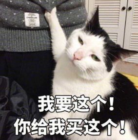 27岁年入1.5亿入选福布斯的网红，每天给自己换鼻子是什么操作？
