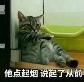 景甜新剧扮相是在cos60岁的刘晓庆吗？直接老成婆婆脸了惹···