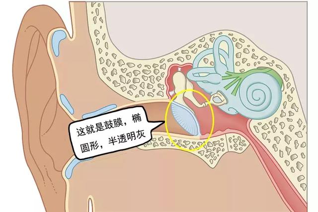 航空性中耳炎:云端下的听力杀手