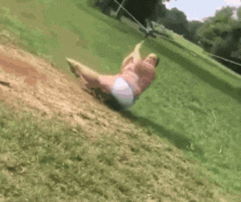 搞笑gif趣图:妹子,办公室不是锻炼身体的地方!