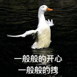 继辛芷蕾之后，崔雪莉也靠一个杀马特发型养活了整个美发产业！
