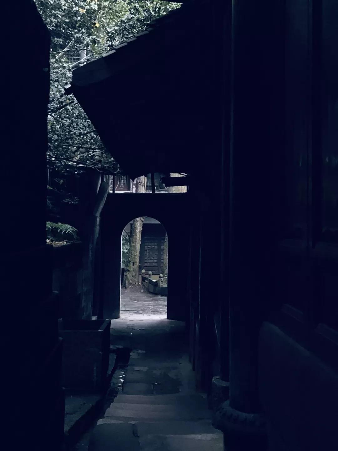 乱逛 如果下雪，我就想跑进青城山的迷雾