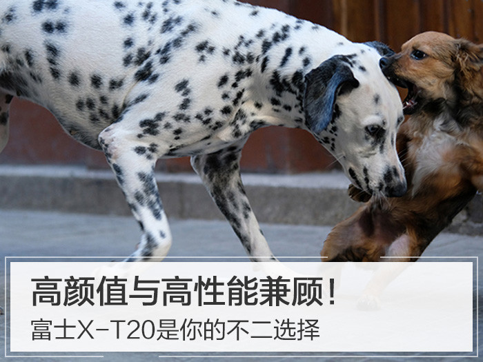 手机