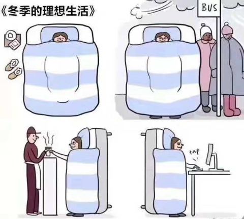 文章配图
