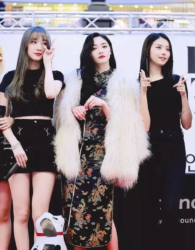 她想被封杀？忘了自己是中国人？还拉踩刘亦菲？